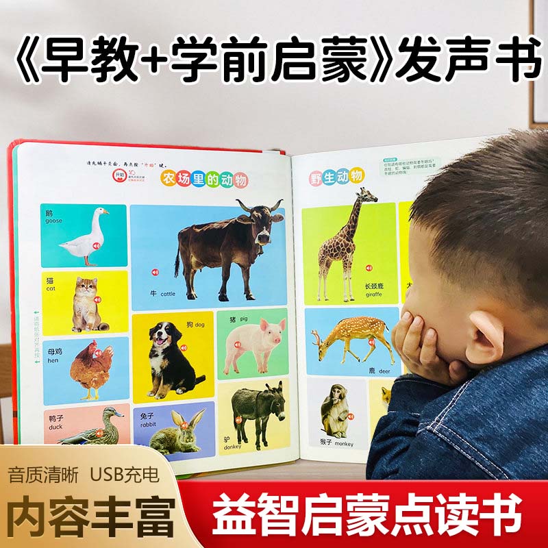 面白い百科事典童謡オーディオブック、子供向け中国語の漢字とピ - Kids Education Rhymes のレビューと価格