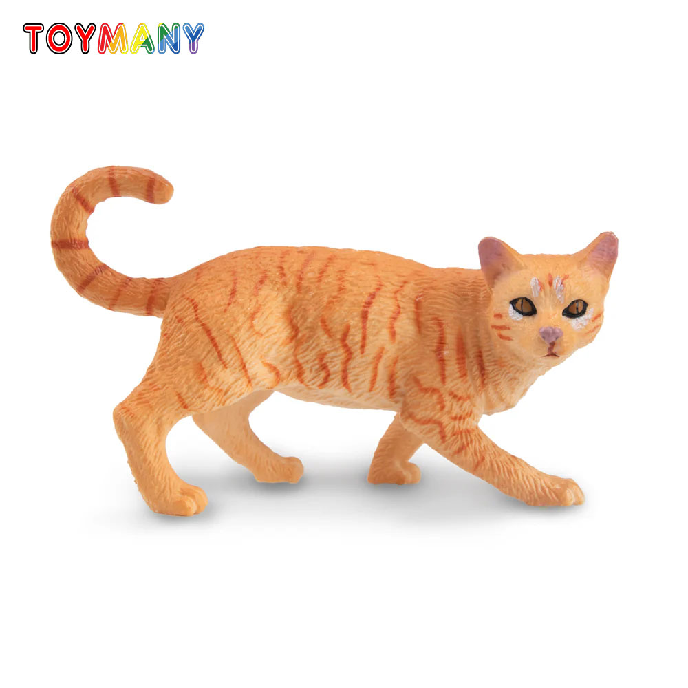 Toymany シミュレーション ストライディング オレンジ - Kids First Education のレビューと価格